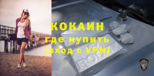индика Медвежьегорск