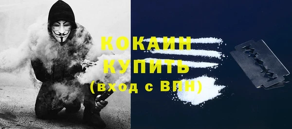 индика Медвежьегорск