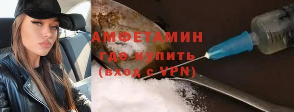 индика Медвежьегорск