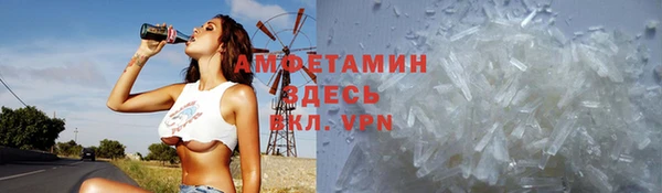 индика Медвежьегорск