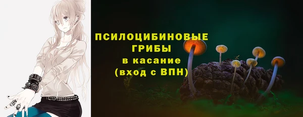 apvp Медногорск