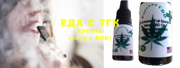 индика Медвежьегорск