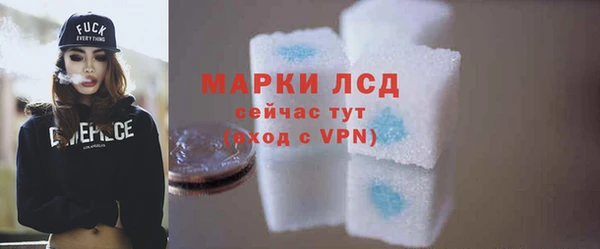индика Медвежьегорск