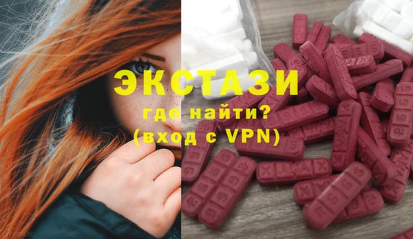 индика Медвежьегорск