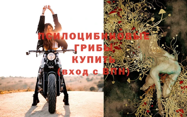 индика Медвежьегорск