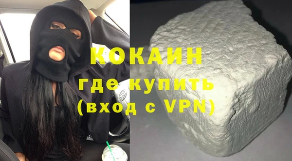 индика Медвежьегорск