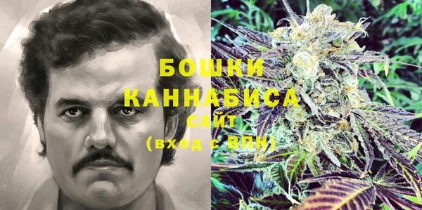 индика Медвежьегорск