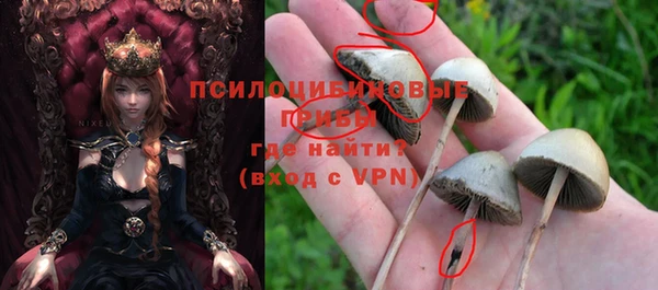 индика Медвежьегорск