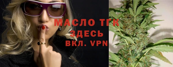 индика Медвежьегорск