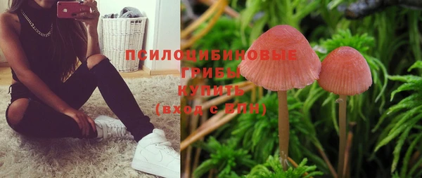 apvp Медногорск
